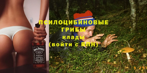 прущая мука Пересвет