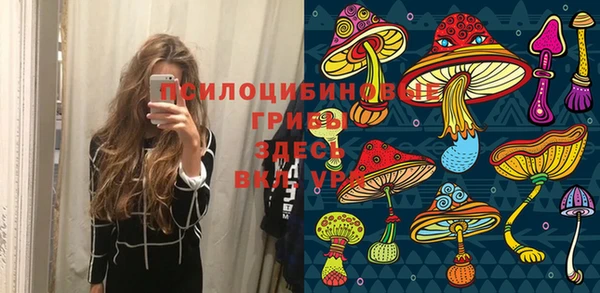 прущая мука Пересвет