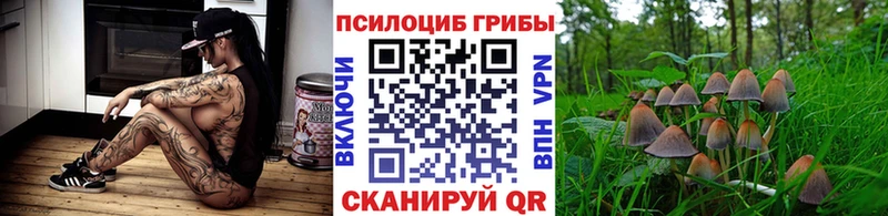 Псилоцибиновые грибы прущие грибы  Калининец 
